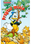 Gigant Poleca Tom 116 Przytul misia