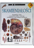 Skamieniałości Patrzę podziwiam poznaję