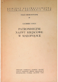 Patronimiczne nazwy miejscowe w Małopolsce