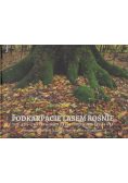 Podkarpacie lasem rośnie