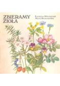 Zbieramy zioła