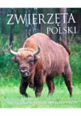 Zwierzęta Polski