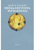 Droga cierpienia Niewinnego