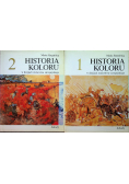 Historia koloru w dziejach malarstwa europejskiego