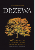 Przewodnik Collinsa. Drzewa