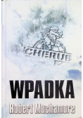 Wpadka