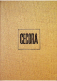 Cecora rok 1620