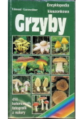 Encyklopedia kieszonkowa Grzyby