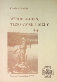 Wśród bagien trzęsawisk i  mgły