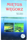 Miętus i węgorz