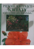 Pięknie kwitnące kwiaty