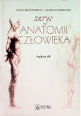 Zarys anatomii człowieka