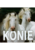 Konie