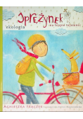 Sprężynek na tropie tajemnic