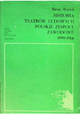 Historia teatrów ludowych Polskie zespoły zawodowe