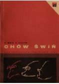 Chów świń