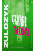Czarne słońce