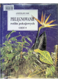 Pielęgnowanie roślin pokojowych Część II