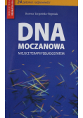 DNA Moczanowa Miejsce terapii febuksostatem