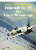 Focke - Wulf Fw 190 Asy Frontu Wschodniego