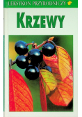 Krzewy