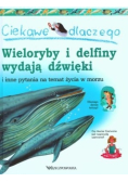 Ciekawe dlaczego wieloryby i delfiny wydają dźwięki i inne pytania na temat życia w morzu
