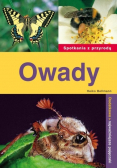 Owady