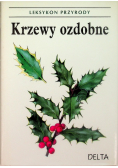 Leksykon przyrody Krzewy ozdobne