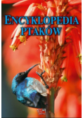 Encyklopedia ptaków
