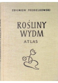 Rośliny Wydm