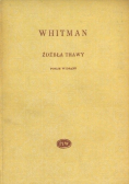 Źdźbła trawy