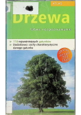 Drzewa łatwe rozpoznawanie