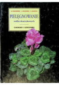 Pielęgnowanie roślin doniczkowych