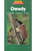 Owady rozpoznać podziwiać chronić