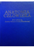 Anatomia człowieka
