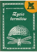 Życie termitów