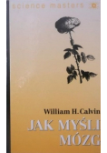Jak myśli mózg