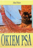 Okiem psa