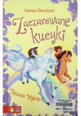 Zaczarowane kucyki. Tęczowe wyścigi