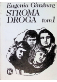 Stroma droga Tom I