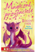 Magiczni przyjaciele Burzowy smok
