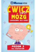 Mensa Kids Ćwicz swój mózg Łamigłówki dla dzieci poziom  3