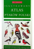 Ilustrowany atlas ptaków polski