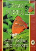 Różowe gołębie i złote nietoperze