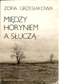 Między Horyniem a Słuczą