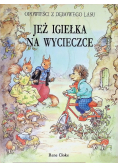 Jeż igiełka na wycieczce