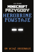 Herobrine powstaje