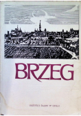 Brzeg