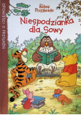 Kubuś i Przyjaciele Niespodzianka dla Sowy