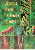 Ochrona drzew i krzewów iglastych